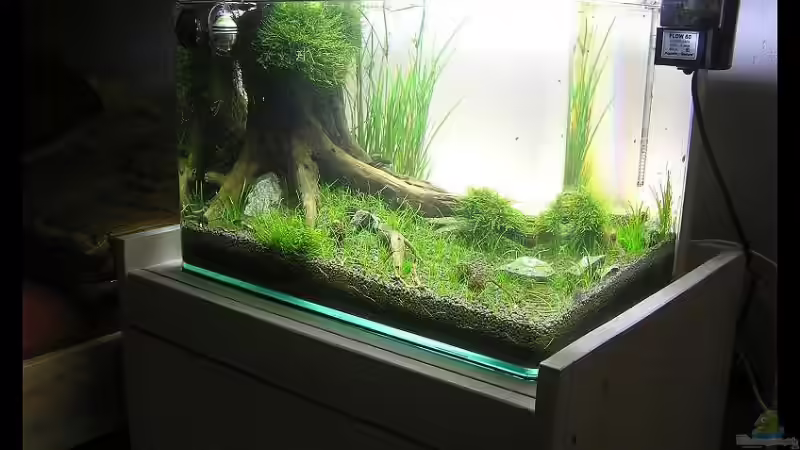 Aquarium Becken 14194 von niva (9)