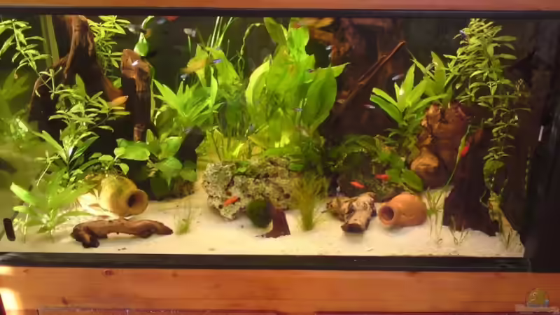 Aquarium Becken 14259 von Runlikehell (2)