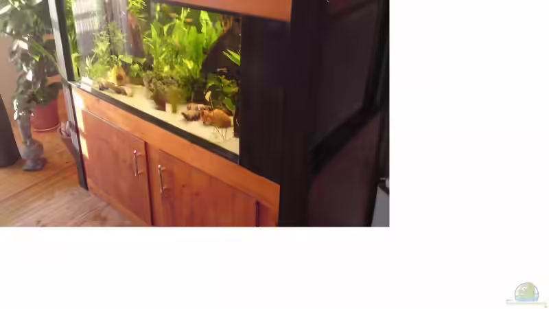 Aquarium Becken 14259 von Runlikehell (4)