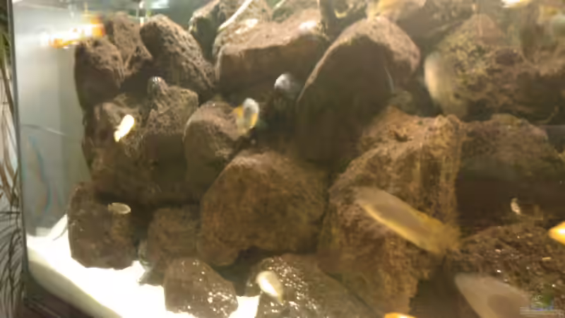 Aquarium Becken 1428 von Sven Bodmann (5)