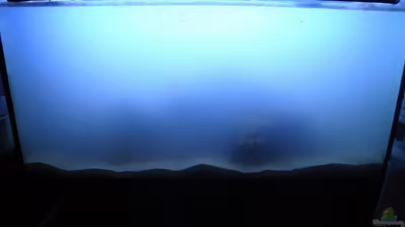 Aquarium Becken 14360 von tigger69 (7)