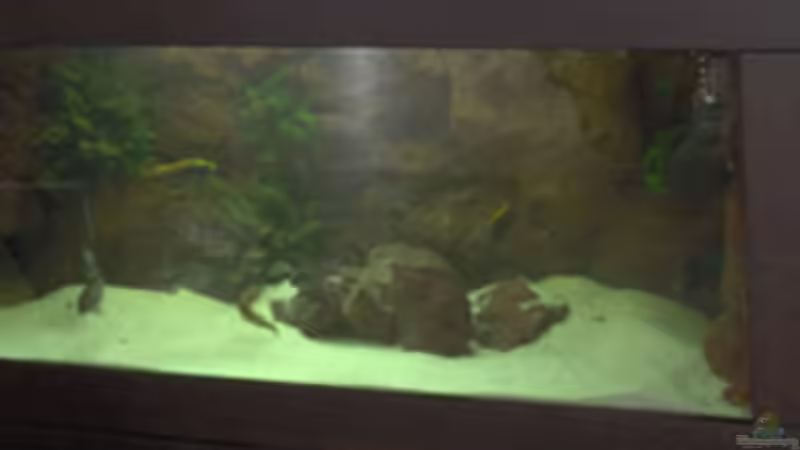 Aquarium Becken 1437 von Andre Kröber (2)