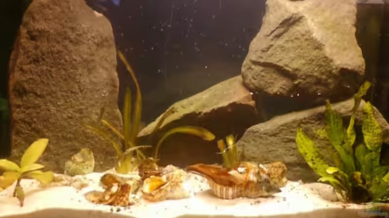 Aquarium Becken 14375 von FABI (2)