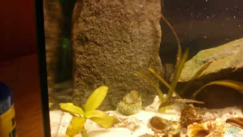 Aquarium Becken 14375 von FABI (5)