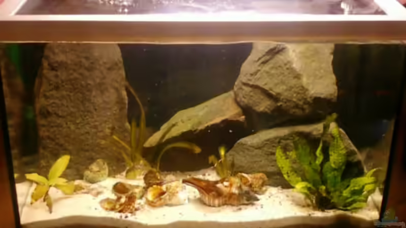 Aquarium Becken 14375 von FABI (7)