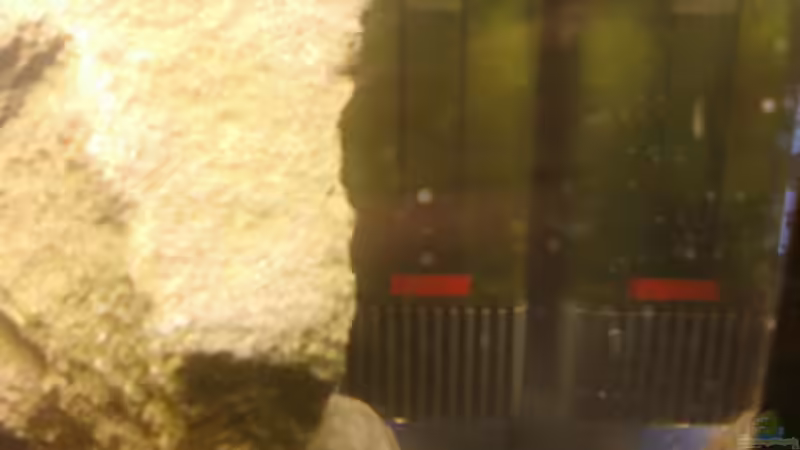 Aquarium Becken 14375 von FABI (8)