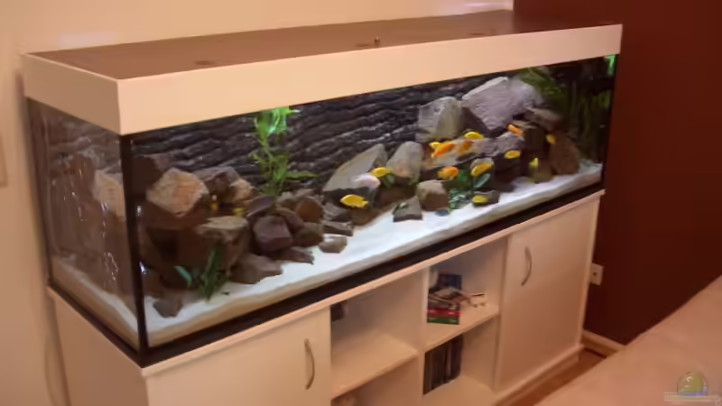 Aquarium Becken 14379 von various77 (2)