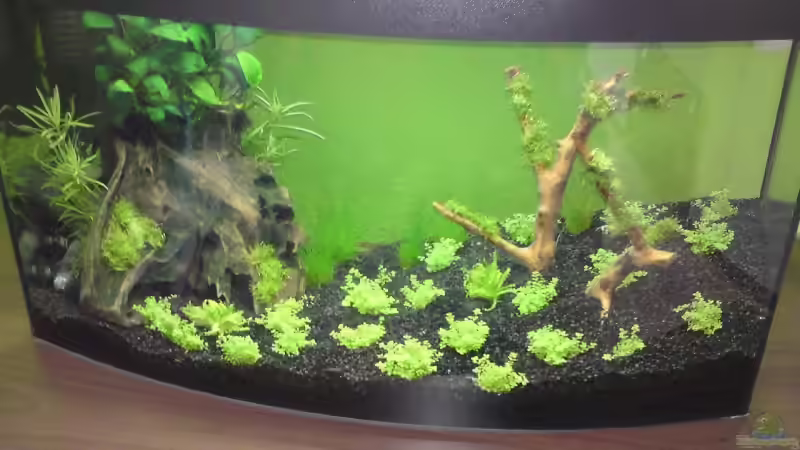 Aquarium Becken 14582 von Patric (3)