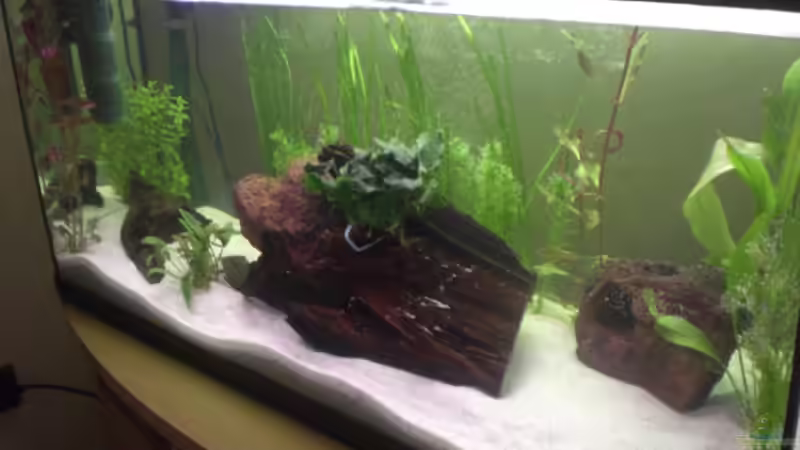 Aquarium Becken 14680 von sambista (6)