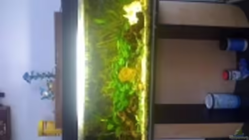 Aquarium Becken 14782 von Felix Braune (3)