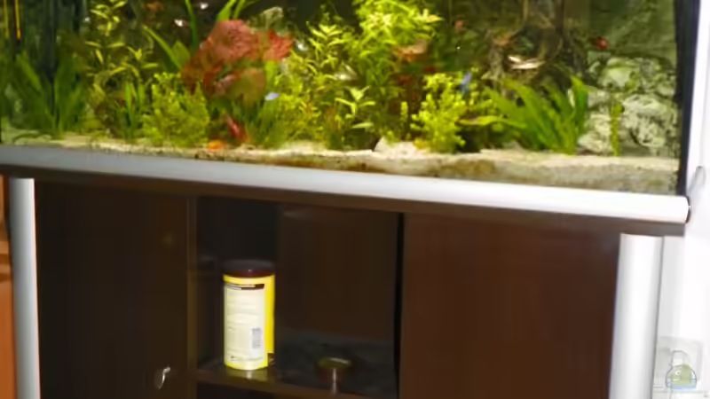 Aquarium Becken 14814 von Elgnomy (2)