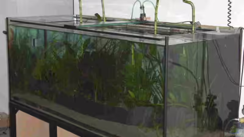 Aquarium Becken 1483 von Marco Meyer (8)