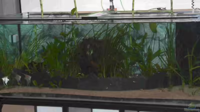 Aquarium Becken 1483 von Marco Meyer (9)