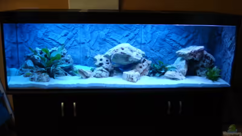 Aquarium Becken 14942 von Max1 (3)