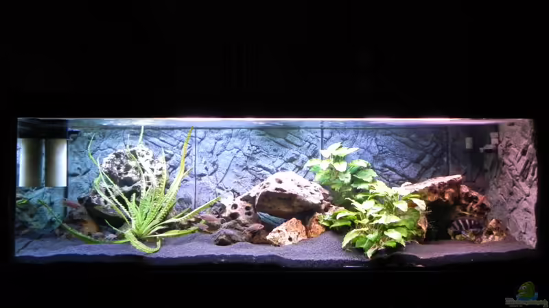 Aquarium Becken 14942 von Max1 (6)