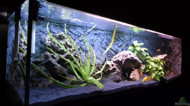 Aquarium Becken 14942 von Max1 (7)