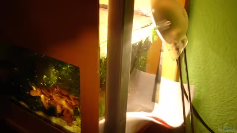 Aquarium Becken 15071 von Mr. Müller (2)