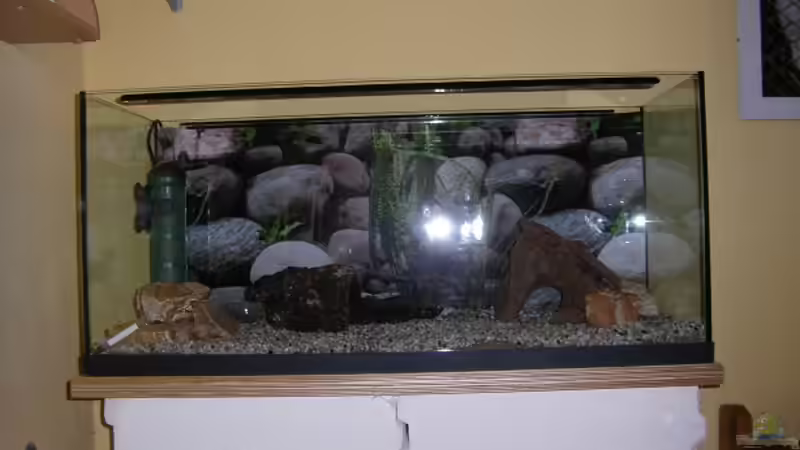 Aquarium Becken 15088 von Miri (2)