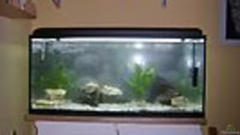 Aquarium Becken 15088 von Miri (5)