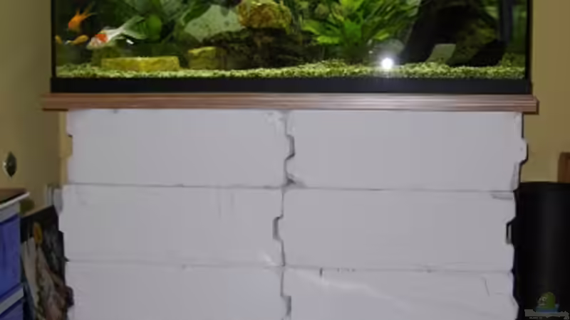 Aquarium Becken 15088 von Miri (6)