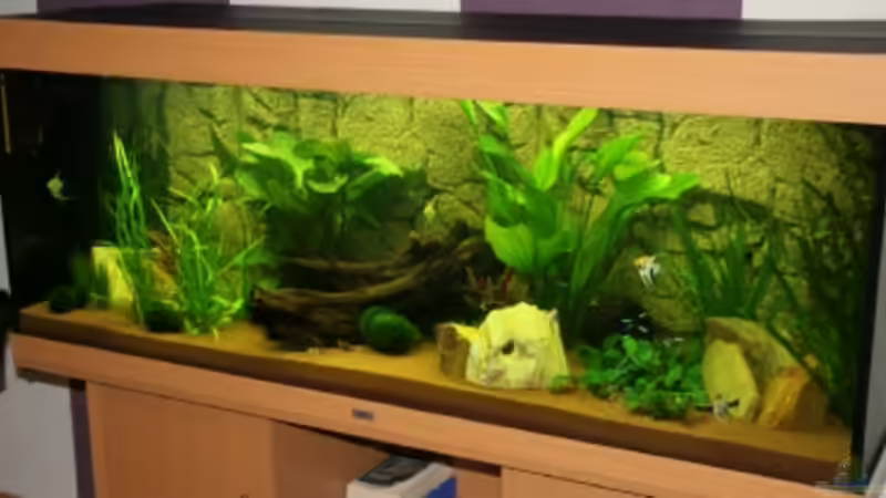 Aquarium Becken 15187 von Andreas Zollmann (4)