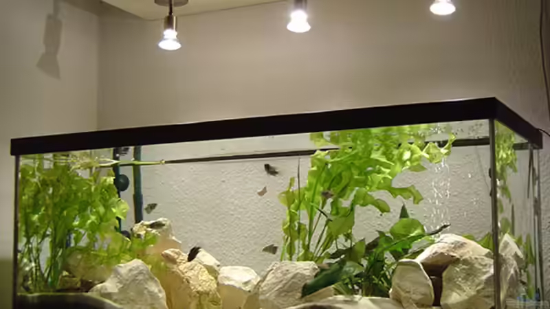 Aquarium Becken 15302 von MINI (2)