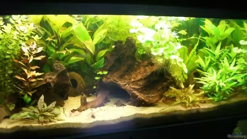 Aquarium Becken 15320 (nur als Beispiel) von lukasg (2)