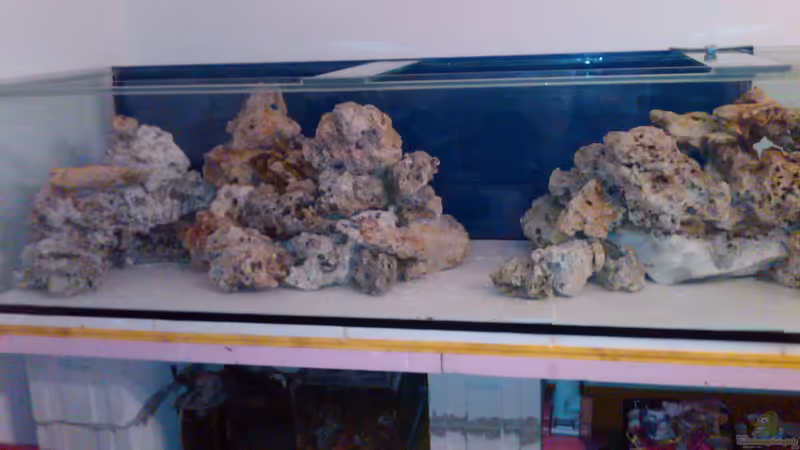 Aquarium Becken 15324 von Zornrocco (3)