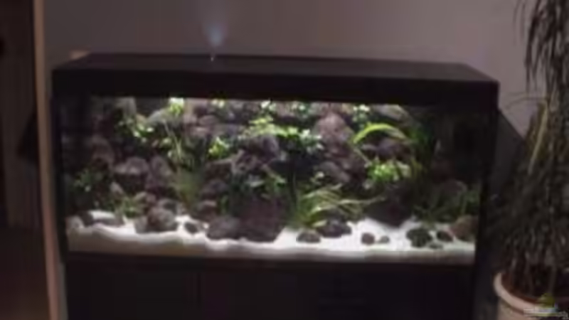 Aquarium Becken 1534 von Martin Grimm (2)