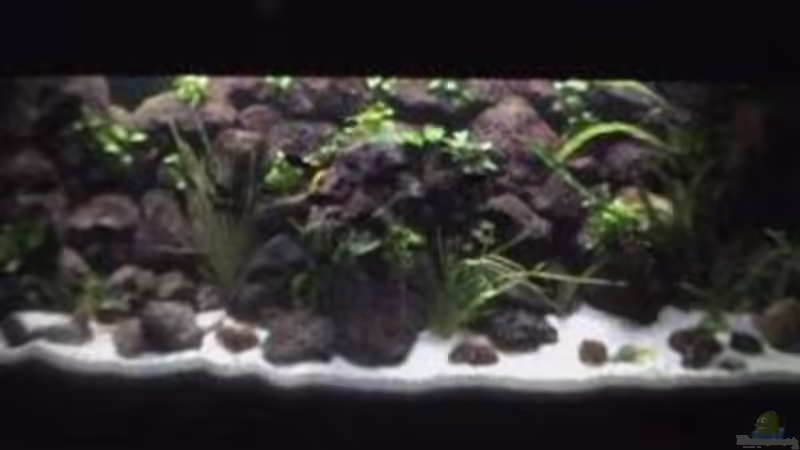 Aquarium Becken 1534 von Martin Grimm (5)