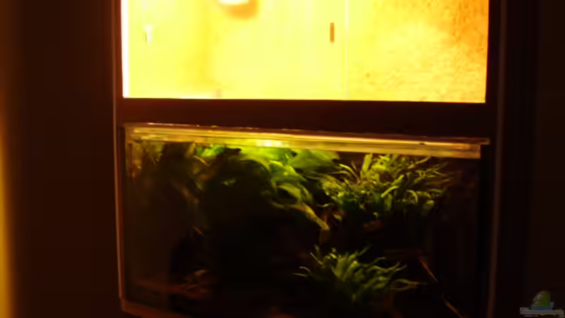 Aquarium Becken 15512 von Yogybär (3)