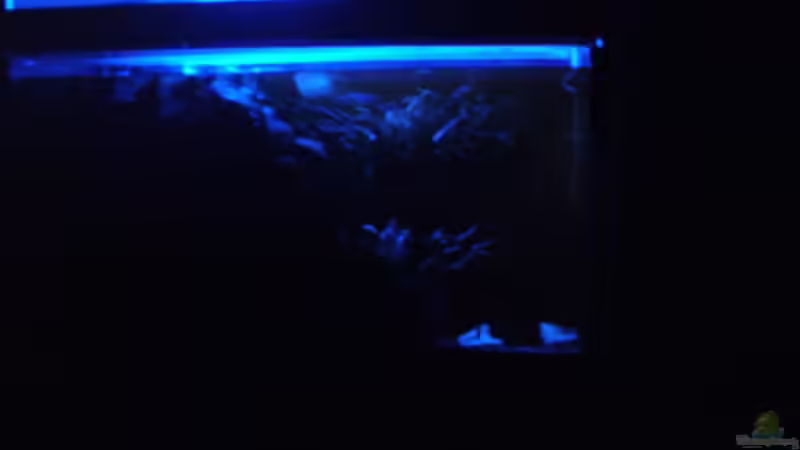 Aquarium Becken 15512 von Yogybär (7)