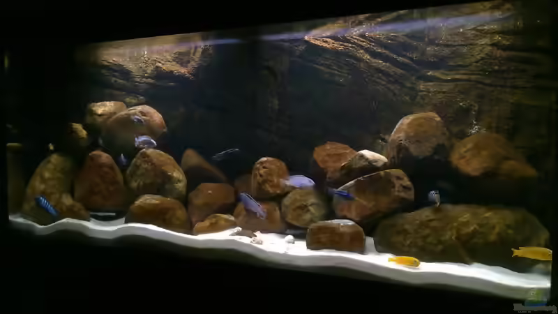 Aquarium Becken 15567 nur noch als Beispiel von Robert Verhülsdonk (3)