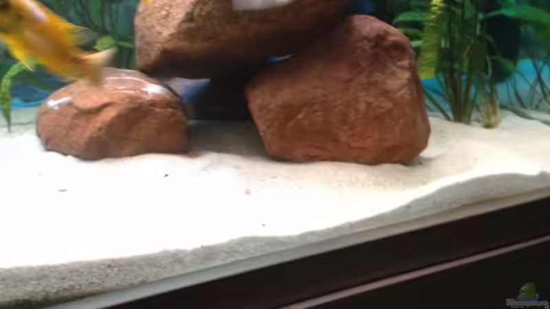 Aquarium Becken 15606 von Günni (3)