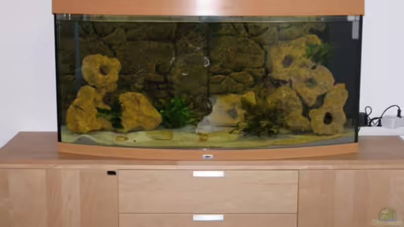 Aquarium Becken 1568 von Klaus Lange (2)