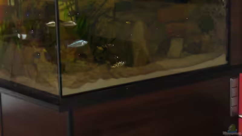 Aquarium Becken 15694 von Sebastian Kühne (3)