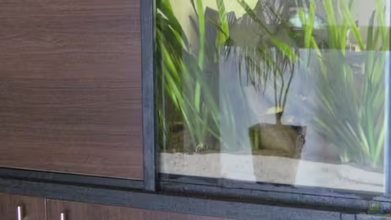 Aquarium Becken 15694 von Sebastian Kühne (5)