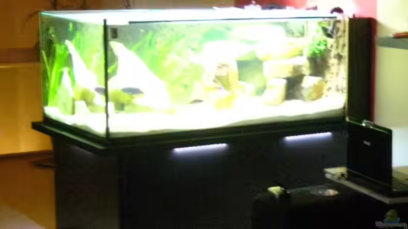 Aquarium Becken 15694 von Sebastian Kühne (6)