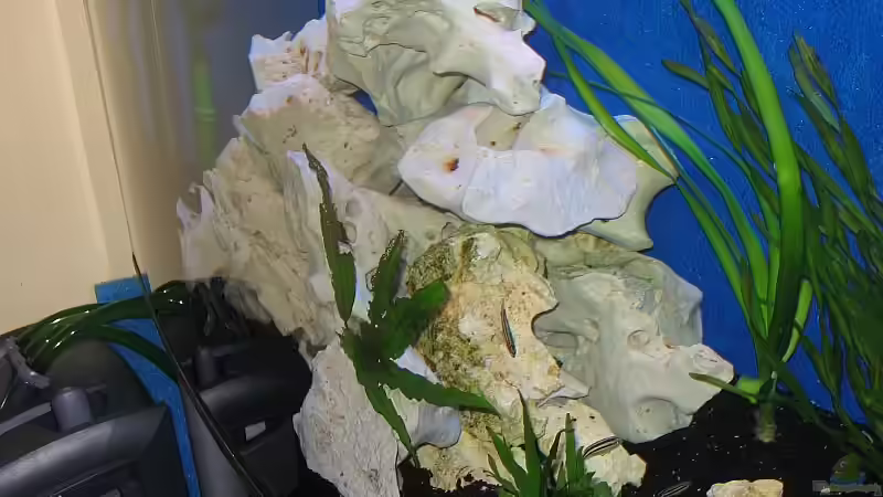 Aquarium Becken 1580 von Stefan Müller (2)