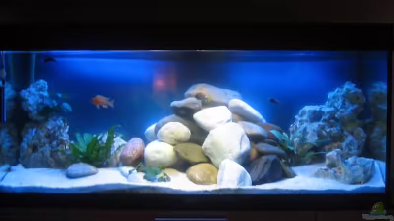 Aquarium Becken 15894 von SideShowBob (2)