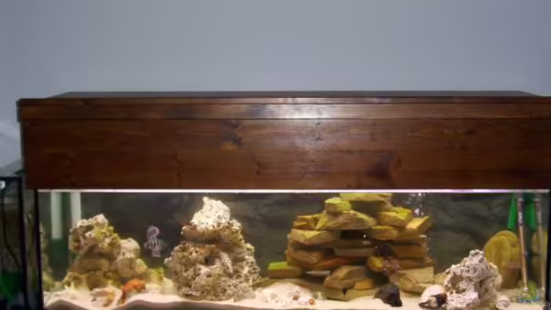 Aquarium Becken 160 von Angela Sumner (2)