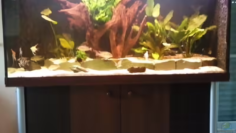 Aquarium Becken 16025 von Hoase (2)