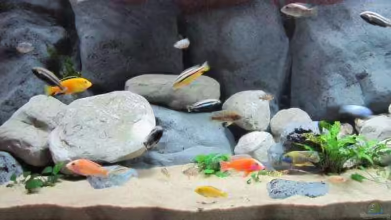 Aquarium Becken 16041 von hu.ch (2)