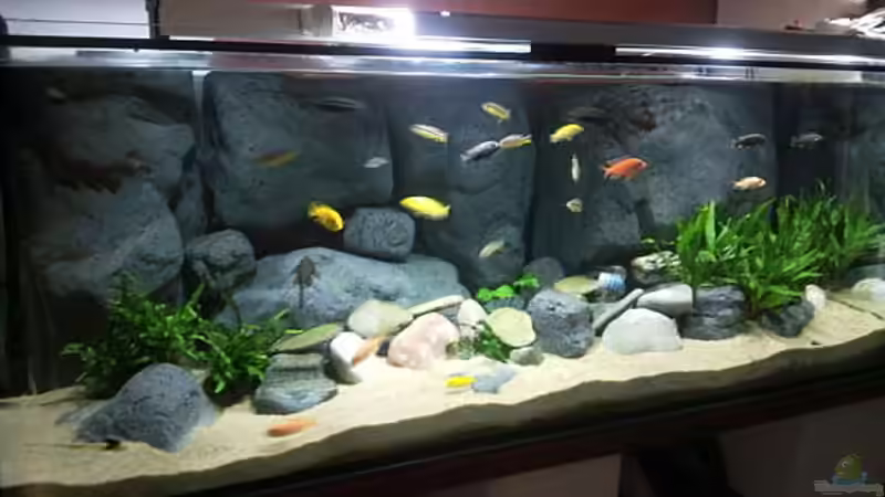 Aquarium Becken 16041 von hu.ch (3)