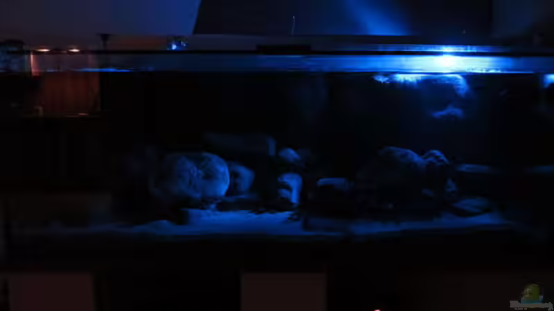 Aquarium Becken 16041 von hu.ch (4)