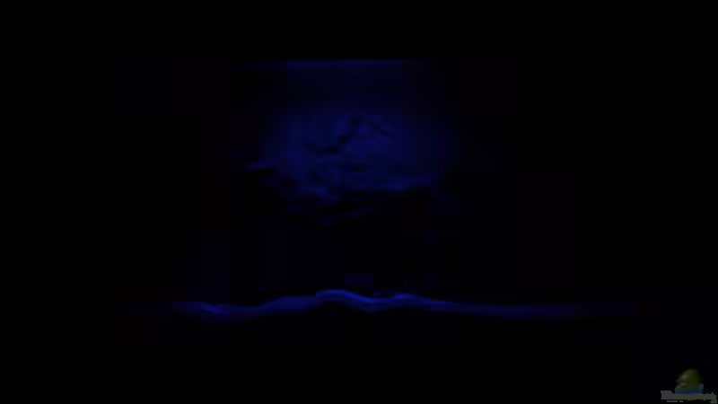 Aquarium Becken 16059 von MuBu (7)