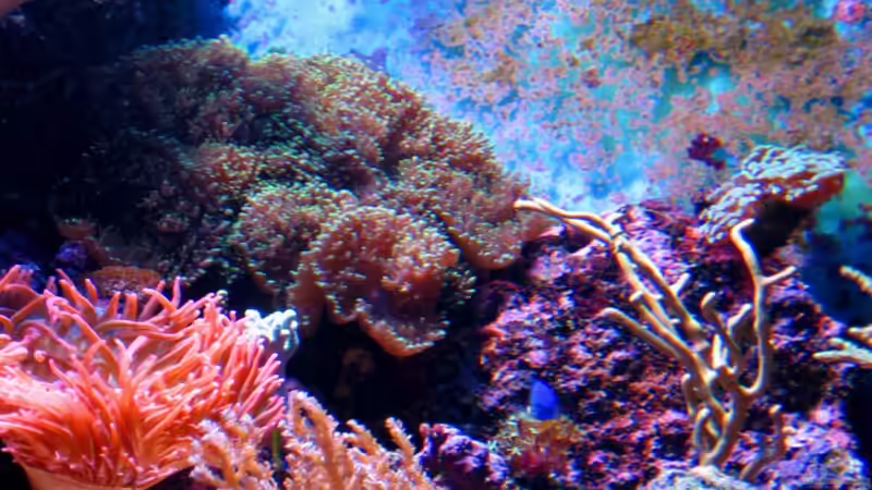 Aquarium Becken 16110 von Roland Kaltschitz (8)