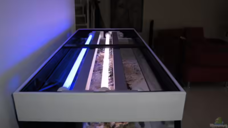 Aquarium Becken 16352 von Bruno Wieser (2)