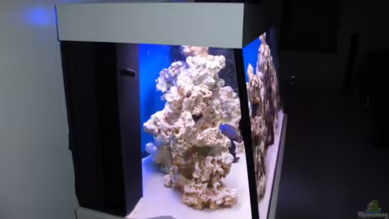 Aquarium Becken 16352 von Bruno Wieser (3)