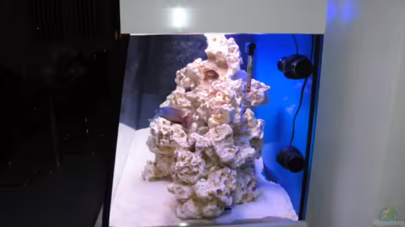 Aquarium Becken 16352 von Bruno Wieser (4)